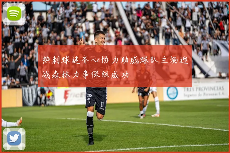 热刺球迷齐心协力助威球队主场迎战森林力争保级成功