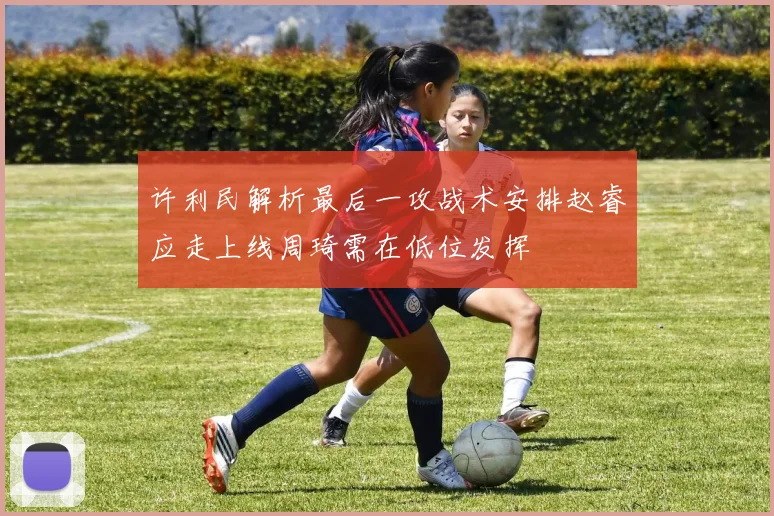 许利民解析最后一攻战术安排赵睿应走上线周琦需在低位发挥